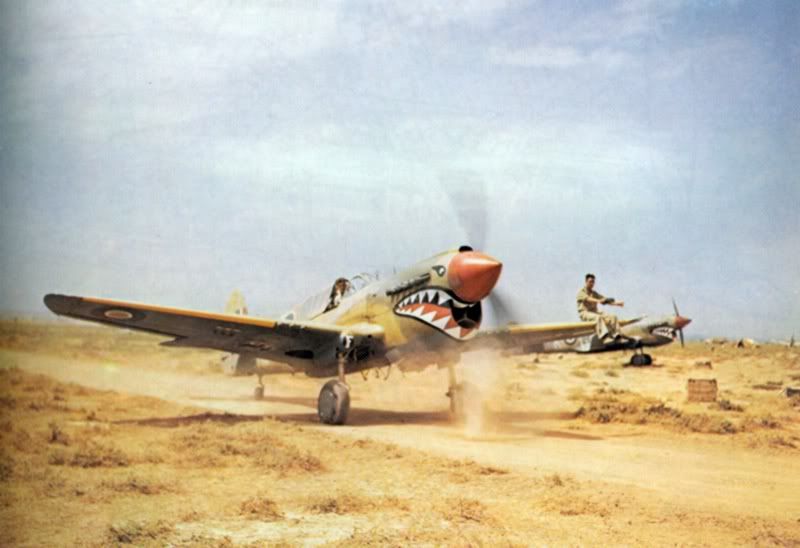 TR_000978_kittyhawk.jpg