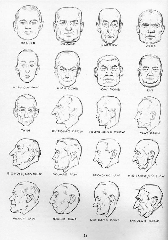 drawing the head & hands by andrew loomis