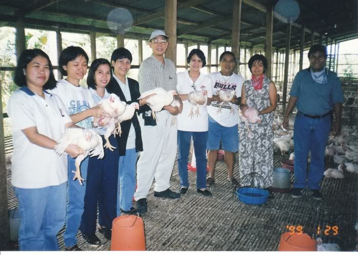 Chicken Farm in Bulacan