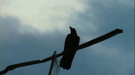 Crow Zero Image Crow Zero Image