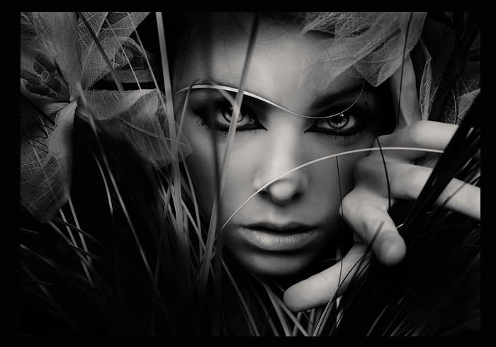 Through by larafairie