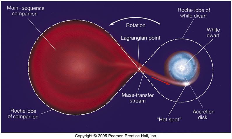 Mass Transfer