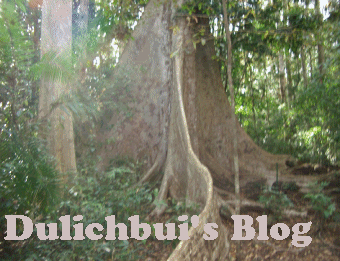 Dulichbui's Blog