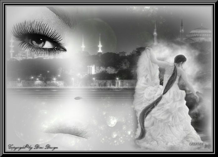 photo psp19zwwit.jpg