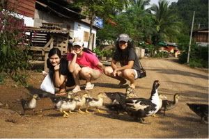 Rukying Diary 92 สะบายดี หลวงพระบาง 2