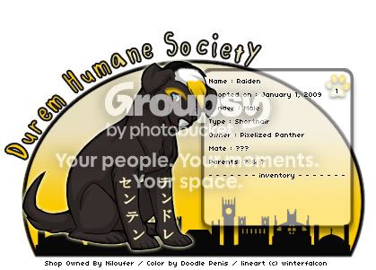 User Image